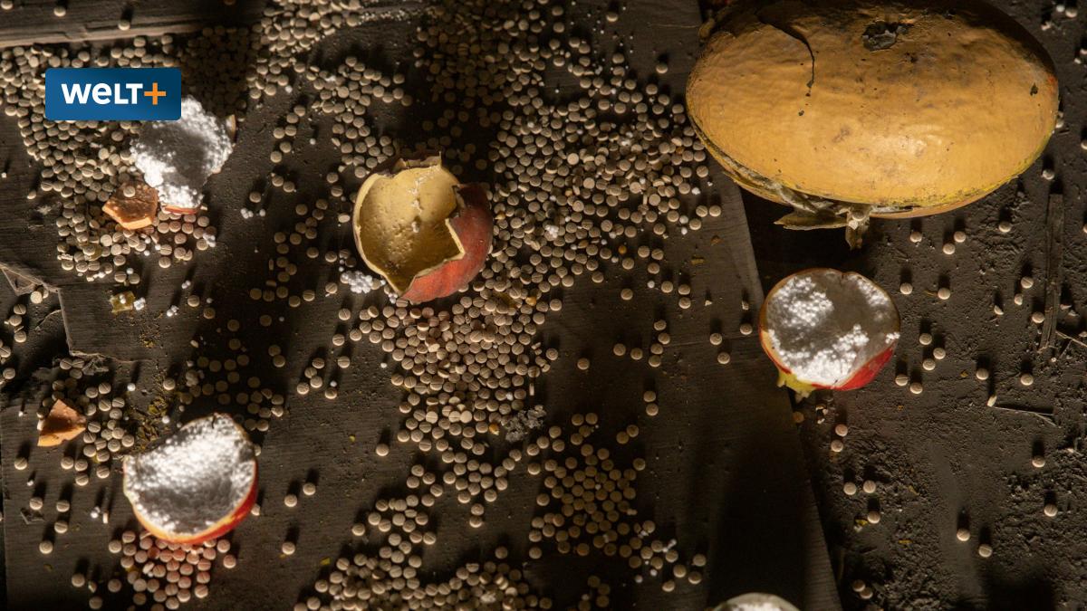post img