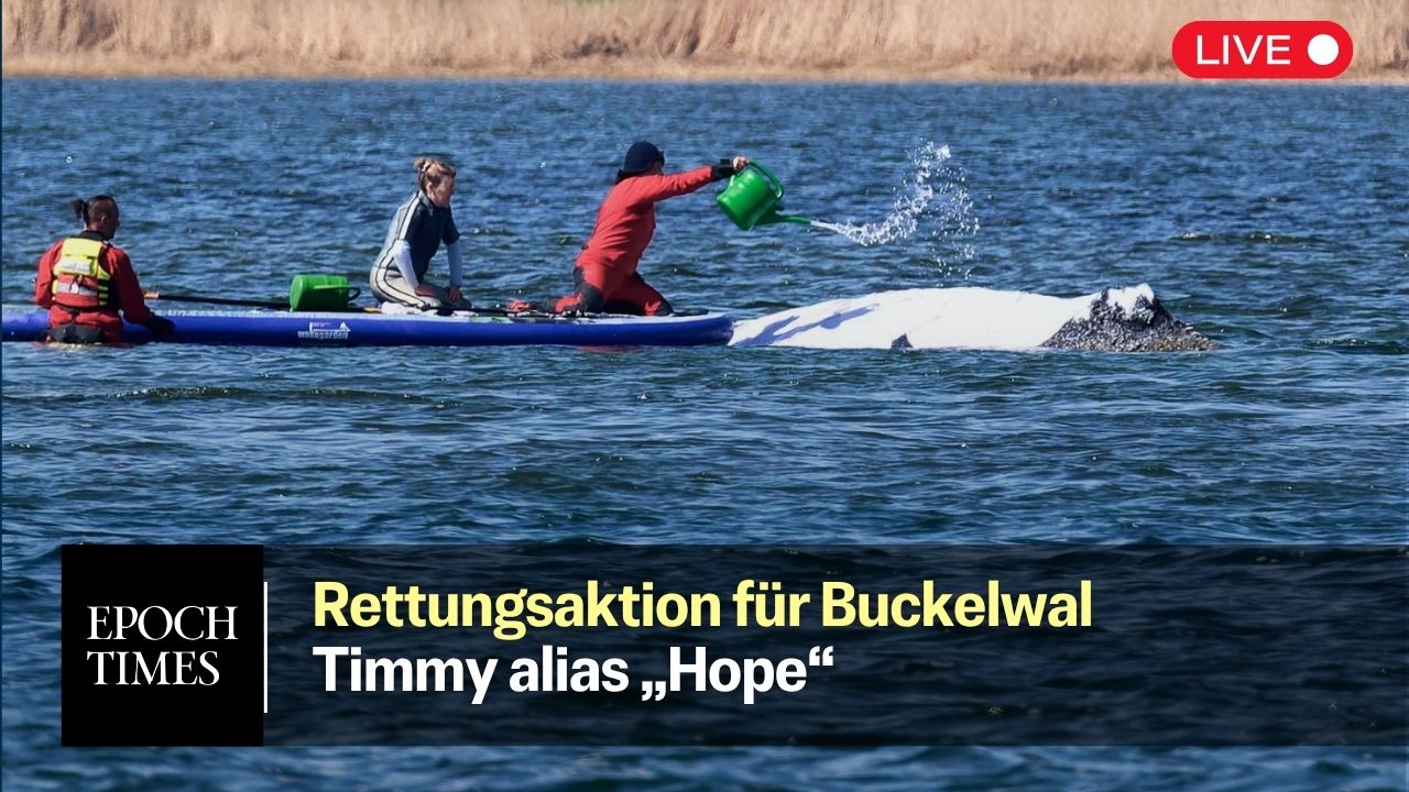 post img