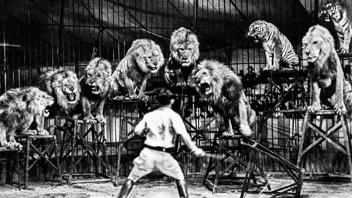 post img